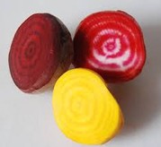 Betteraves multicolores