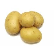 Pomme de Terre Agata