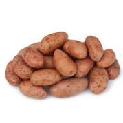 Pomme de terre nouvelle