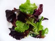 Salade clairgeon